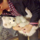 ç…§ç‰‡0548.jpg