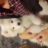 ç…§ç‰‡0549.jpg