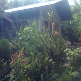 photo0016